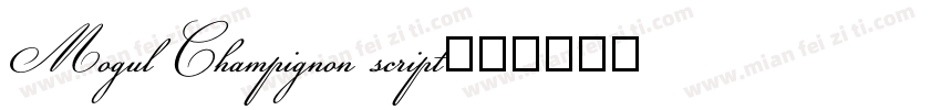 Mogul Champignon script字体转换